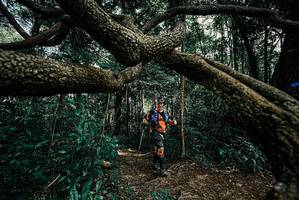 BIB: 
                            <button type="button" onclick="openModal(25705218)" class="btn btn-primary btn-sm float-right btn-popup" data-toggle="modal" data-target=".modal-high-quality">
                        <i class="fas fa-shopping-cart"></i> Add to Cart
                    </button>
                                            <button type="button" onclick="isThisMe(25705218, true)" class="btn btn-success btn-sm float-right btn-popup btn-isme hidden" data-toggle="tooltip" data-placement="bottom" title="นี่คือรูปของคุณใช่ไหม คลิกที่นี่เพื่อเอาเข้าอัลบั้ม">
                        <i class="fas fa-plus"></i> Add to album
                    </button>
                    <button type="button" onclick="isThisMe(25705218, false)" class="btn btn-warning btn-sm float-right btn-popup btn-isnotme hidden">
                        <i class="fas fa-ban"></i> Remove from album
                    </button>